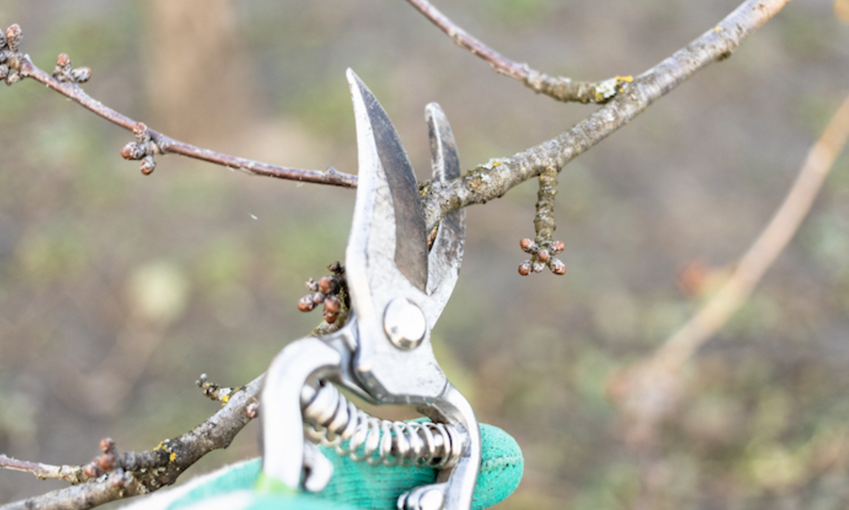 Gratis levering av hageavfall på ISI